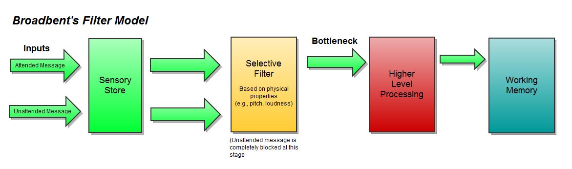 attenuation-theory-psynso