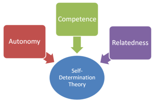 Self-determination Theory - Psynso